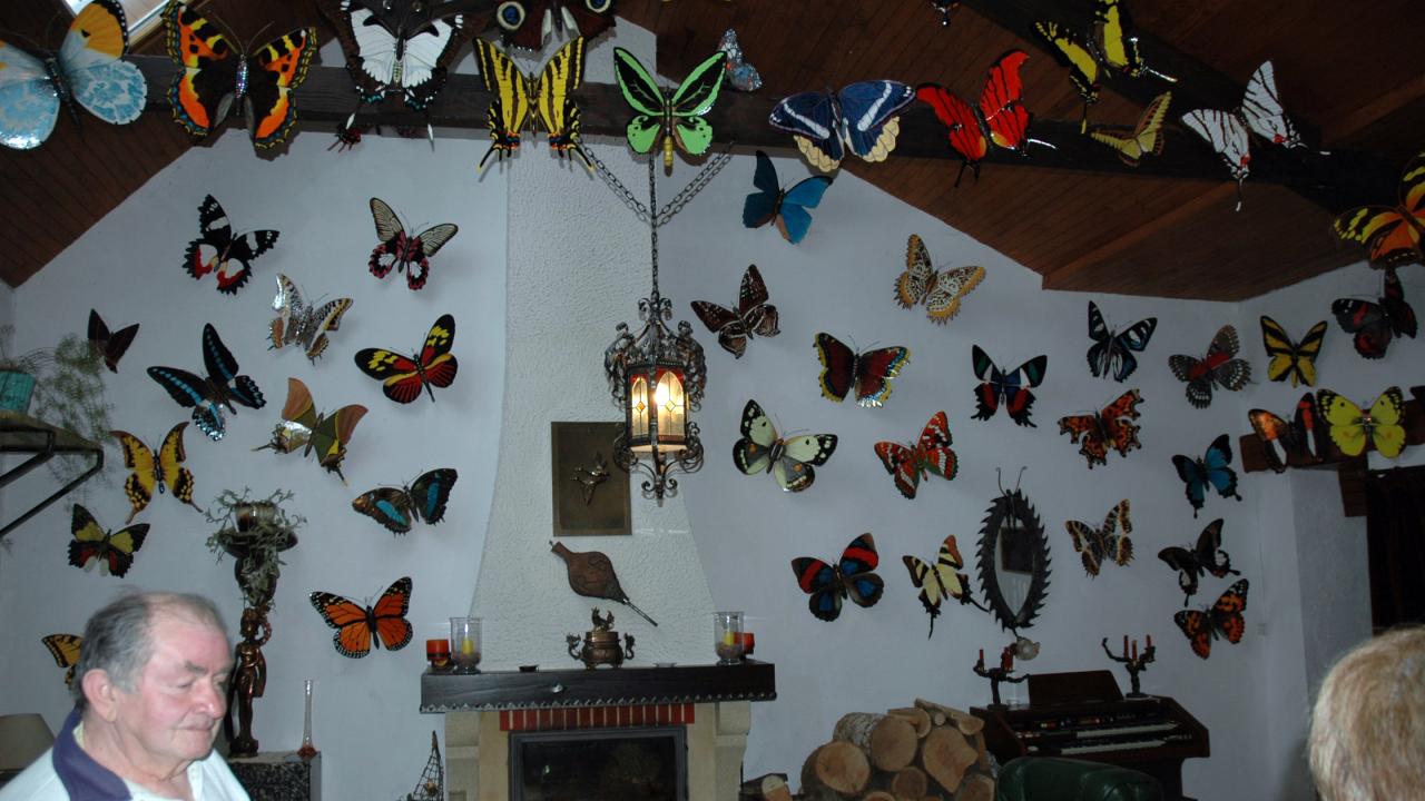 Artistes: Maison des papillons